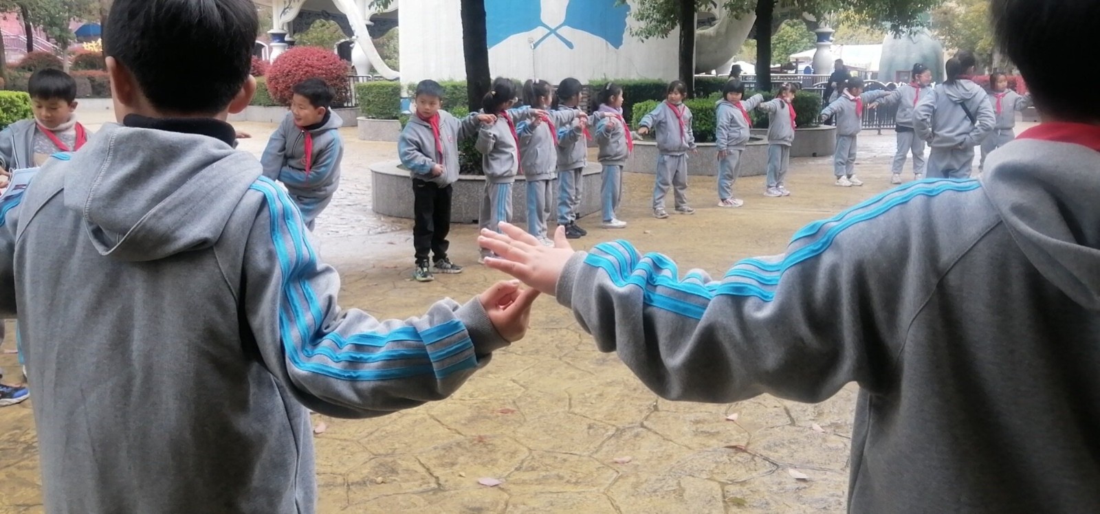 收集结果-Ashley-第2题-2-2023-03-23 12-58-09_proc.jpg